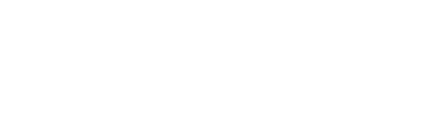 VaidicHerb footer logo